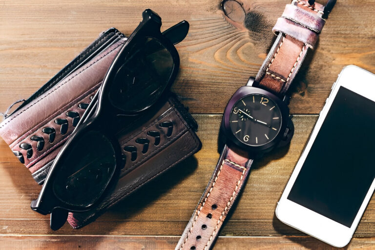 watch travel case