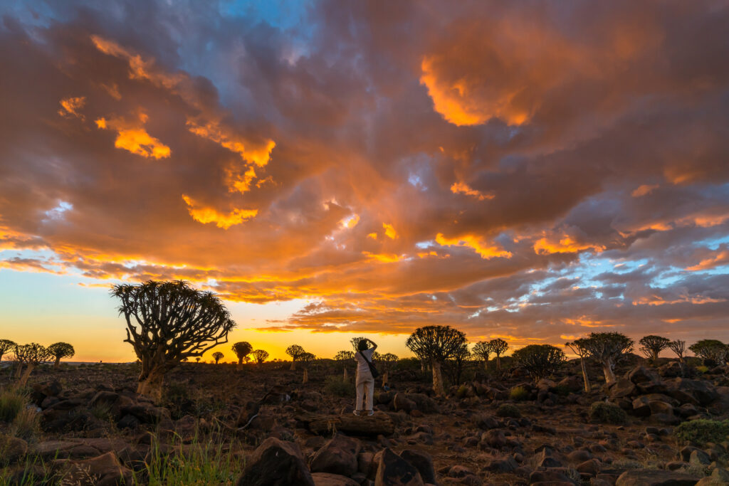 Best Places to Travel to in South Africa
