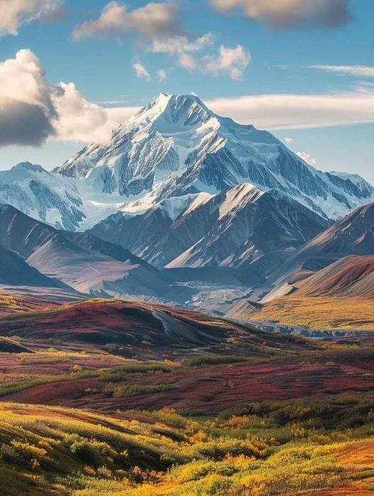 Denali National Park, Alaska 🇺🇸